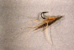 K40 - Ken's Yellow Wasp - $5
